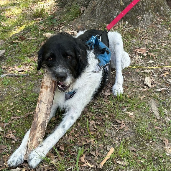 Meet your Posher, Lorna - Picture 2 of 2